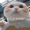 借一束光