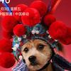 秋风习习