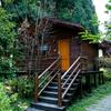 林中小屋