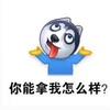 一念执着