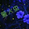 萤火虫老于