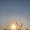 yanzi