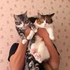 棉裤丢了
