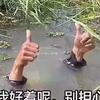 机智的楼主