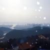 雅俗