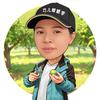 巧儿蜂糖李