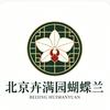 卉满园、蝴蝶兰