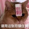 脑洞大开上月球
