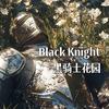 黑骑士花园Blackknight