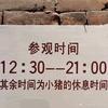 小咖喱黄不辣