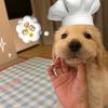 如果抽象是天赋