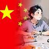 布偶
