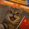 路人白
