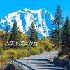 要山要海要自由