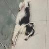 取个霸气的名