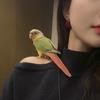 林间鹦语