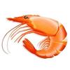小🦐米