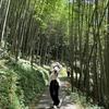 歐北北