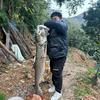 皮皮渝路亚（无人机吊运ing）