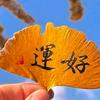 好运