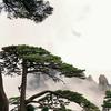 汝霆