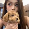 不吃香菜🐶