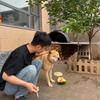 阿兴爱玩狗（田园犬来财）