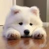じ☆.戒卟鋽