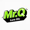 Mr.Q