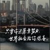 不爱吃香菜