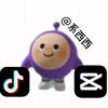 系西西(马上就能更新视频但是只能见同款)