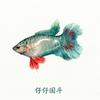 仔仔 国斗🐟