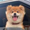 嘻嘻