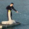 探海阿慧