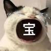 小拳超人
