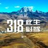 大开西藏−318路况同步