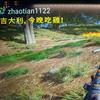 pubg著名表演艺术家