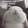 我的世界需要你