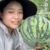 然然的田间地头