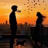老油条影视