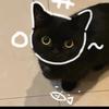 瑾哥丶
