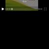 无一心面