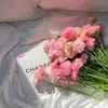元气姜姜