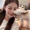 我真不吃香菜（济宁职业答疑版）