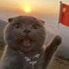 䳟·