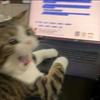 猫Me画财
