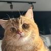 小臭宝