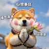 潘你好（产后带娃记）