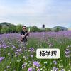 三十 想买房