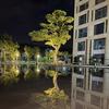 花心老板海外严选